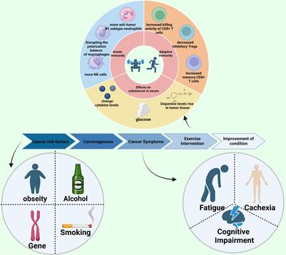 Impact of exercise on cancer: mechanistic perspectives and new insights